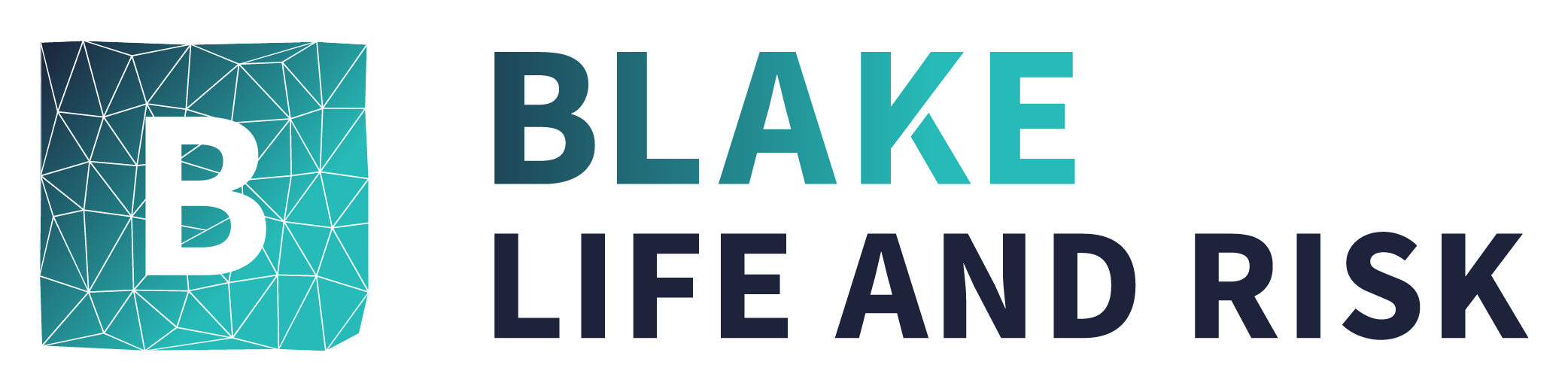 Blake Life And Risk